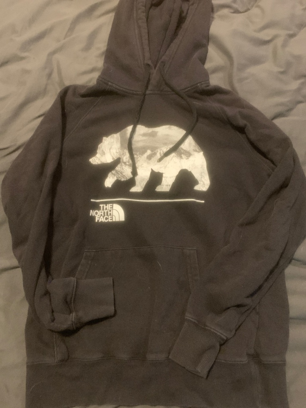 The North Face hoodie